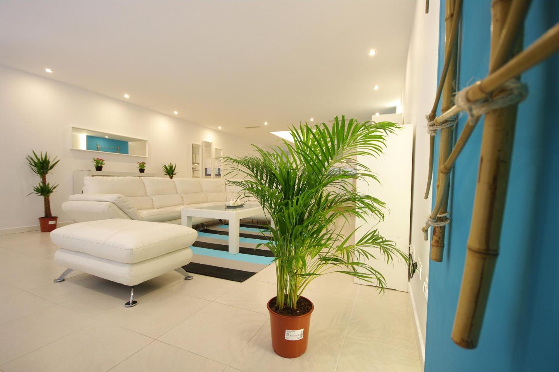 Apartment Livingtarifa Sol